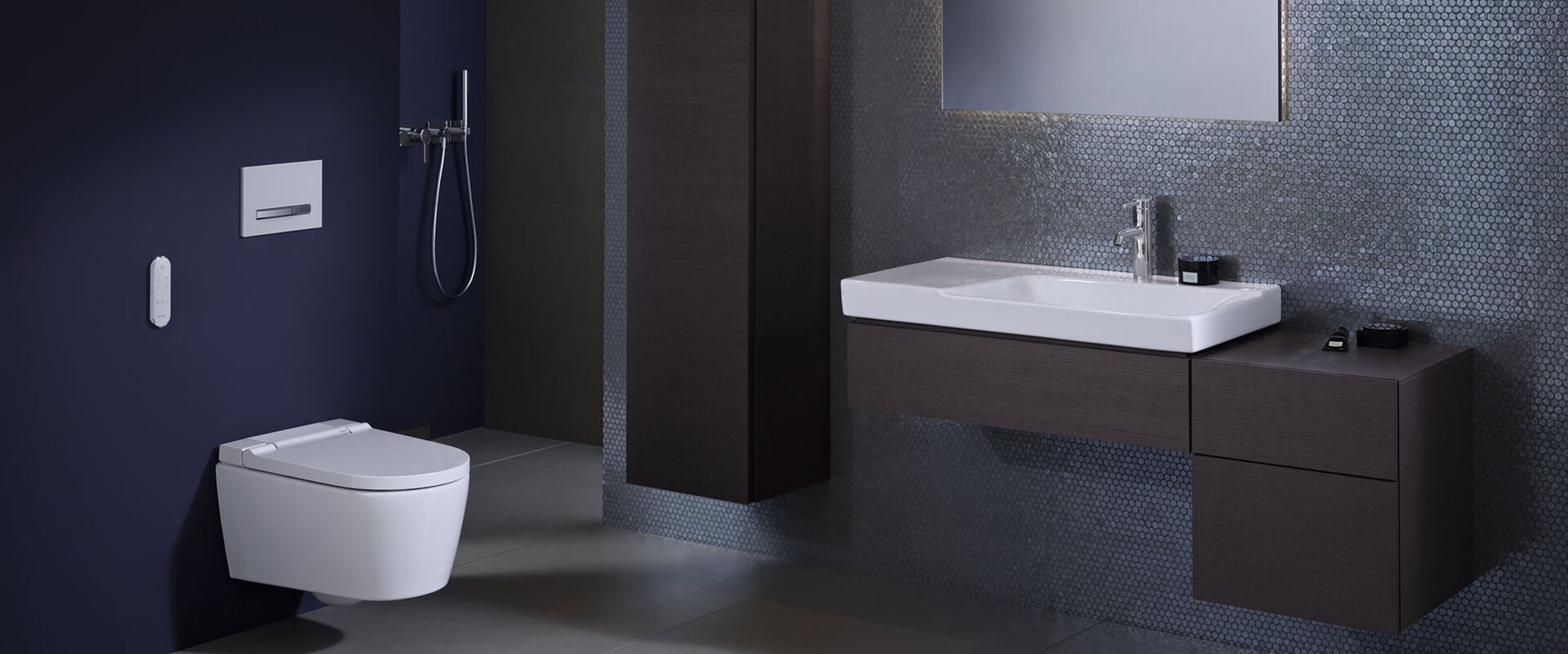 Geberit AquaClean Sela Milieu Head