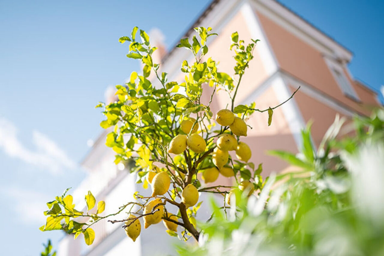 Callwey Amalfi Gewinnspiel Splash  6 