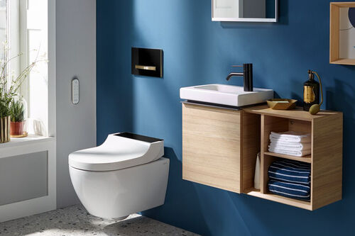 Geberit AquaClean Alba