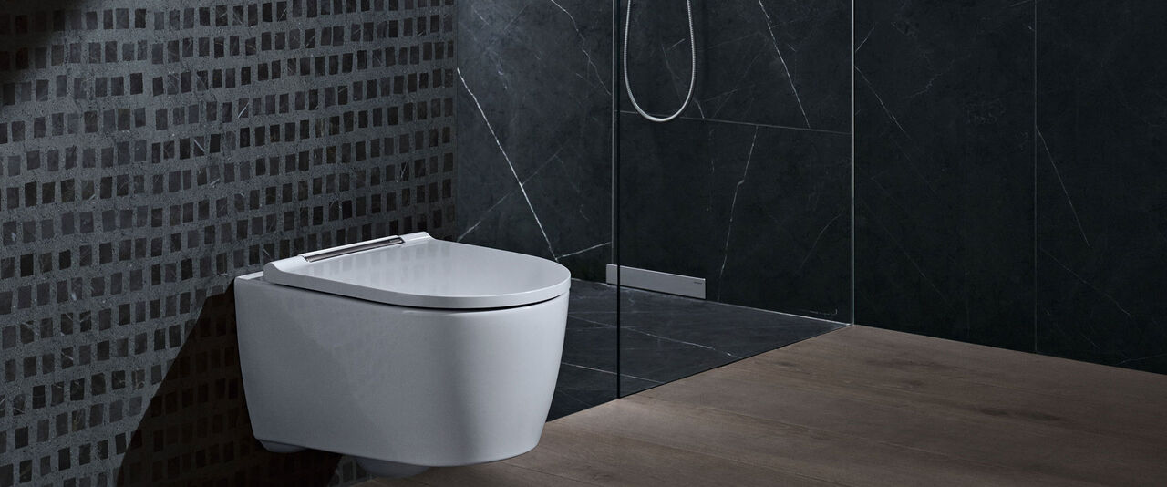 Schönes WC in aktuellem Design von Geberit: Die Serie One hat einen abnehmbaren WC Sitz und ist innen mit einer randlosen Spültechnik ausgestattet.