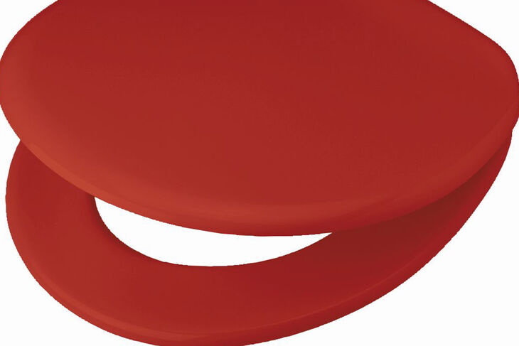 Pagette VIP in rot Toilettensitz Rot Demenzkranke Pagette Barrierefreies Bad Splash Bad