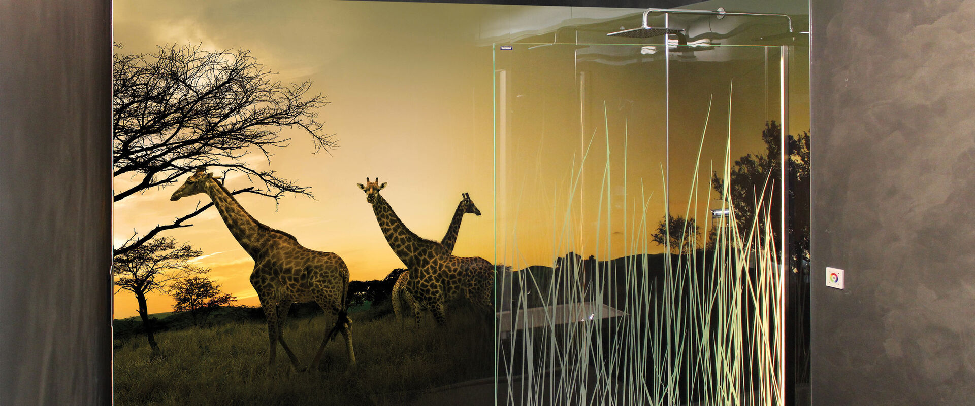 Dusche, in der eine Duscholux PanElle Enlight Wandverkleidung montiert ist. Die Wandverkleidung zeigt Giraffen und ist beleuchtet.