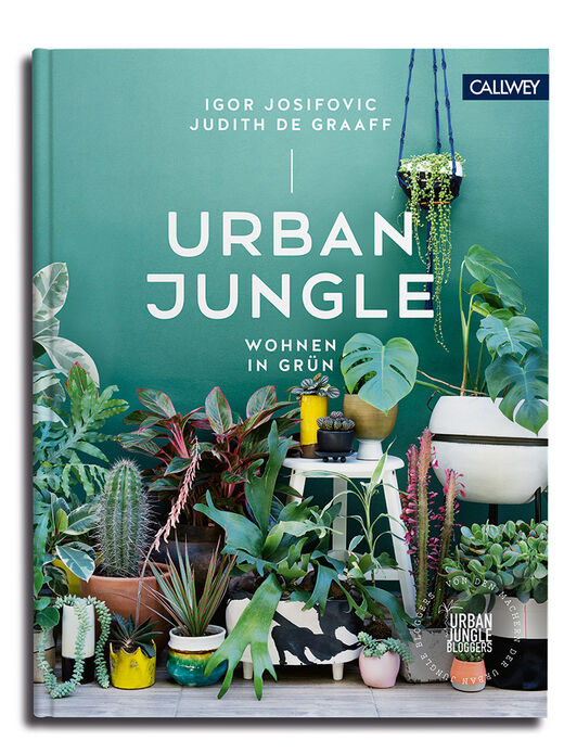 Urban Jungle Buch von Callwey gewinnen - Buchverlosung bei Splash Bad.