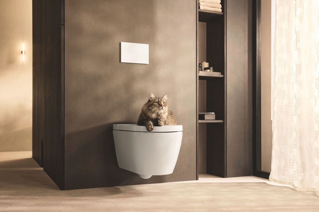 SPLASH Bad Duravit SensoWash Strackf 05.1