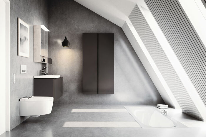 Geberit AquaClean Sela Dusch Wc Splash Bad