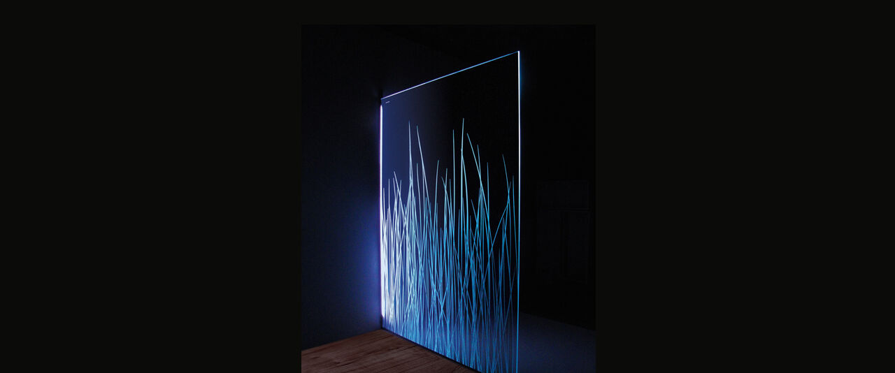 Duschabtrennung DLight Air von Duscholux Duschabtrennung beleuchtbar in blau mit Gräsern.