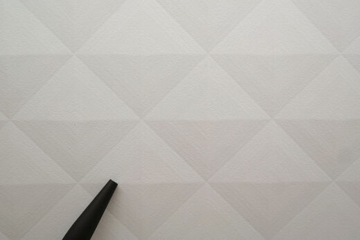 DUSCHOLUX PanElle Haptics Die Wandverkleidung PanElle Haptics von DUSCHOLUX bietet ein einmaliges Erlebnis für alle Sinne.