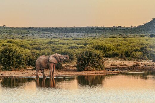 Callwey Suedafrika Stil  41 
